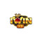 iwin63com